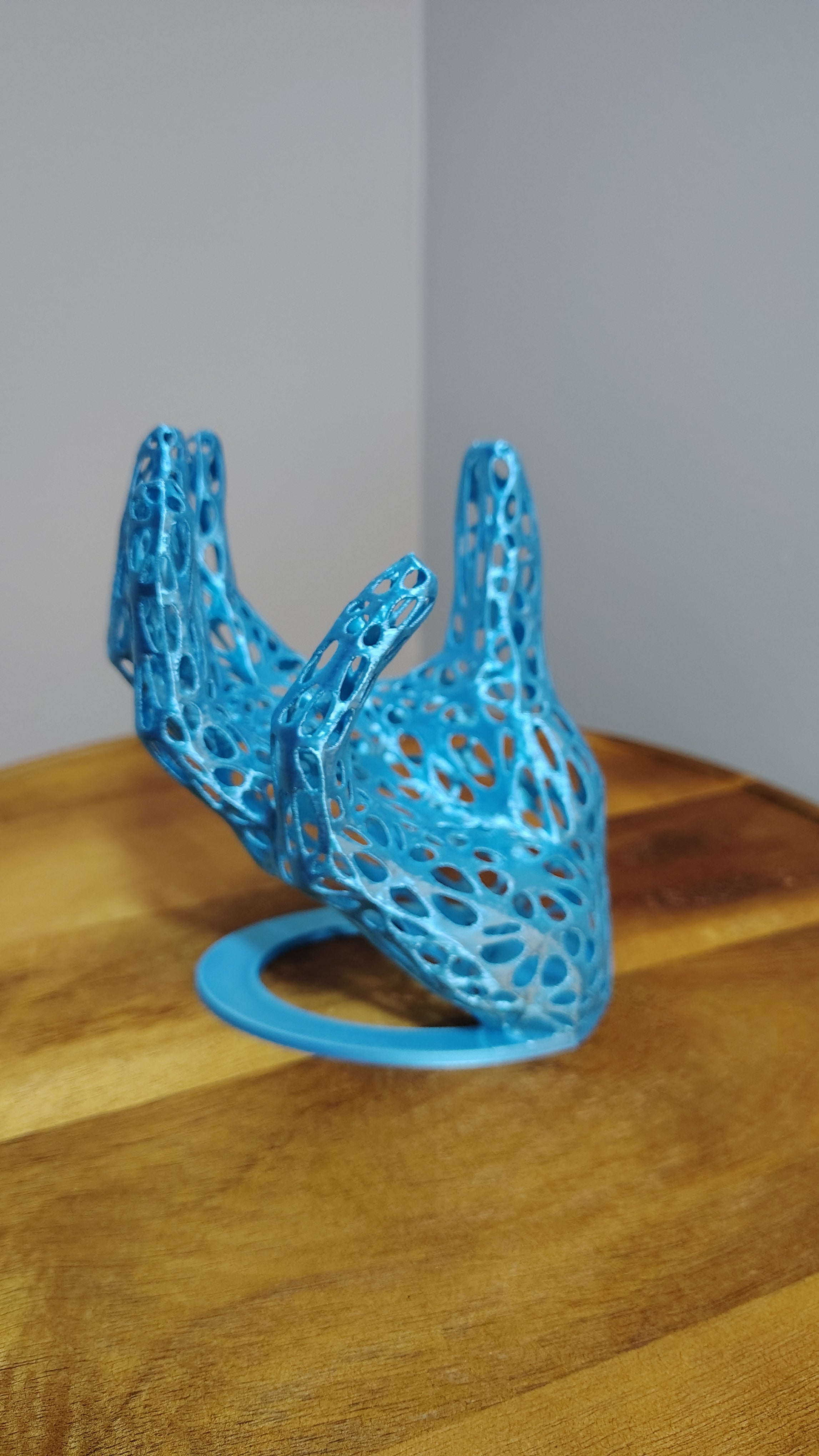 Posed Hand Holder - Organic Voronoi