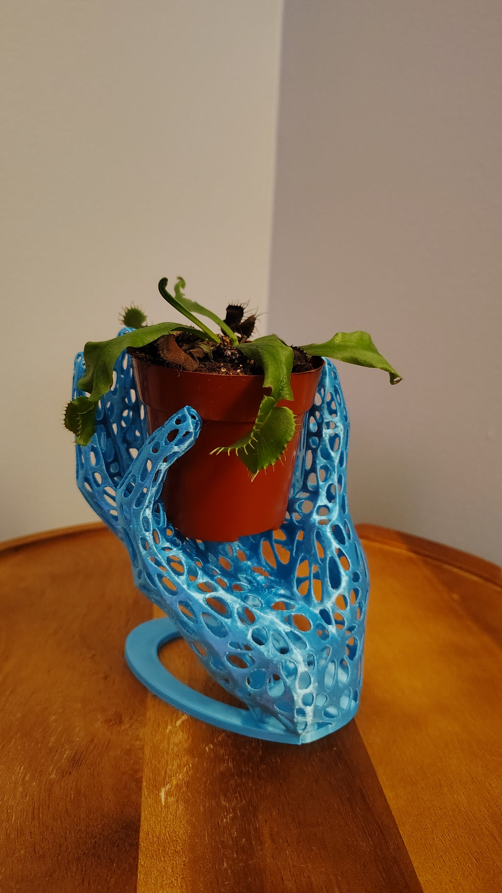 Posed Hand Holder - Organic Voronoi